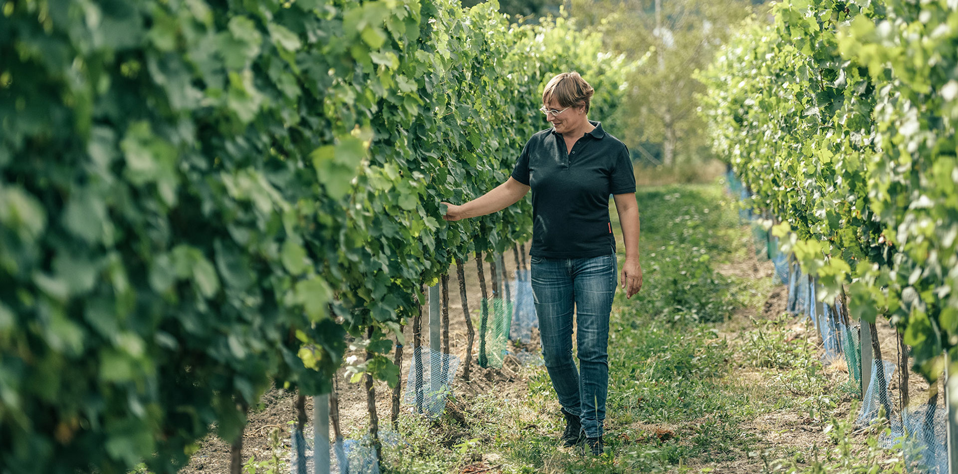 Weingut Heike Lingenfelder