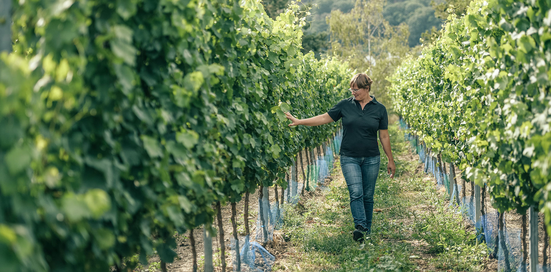 Weingut Heike Lingenfelder