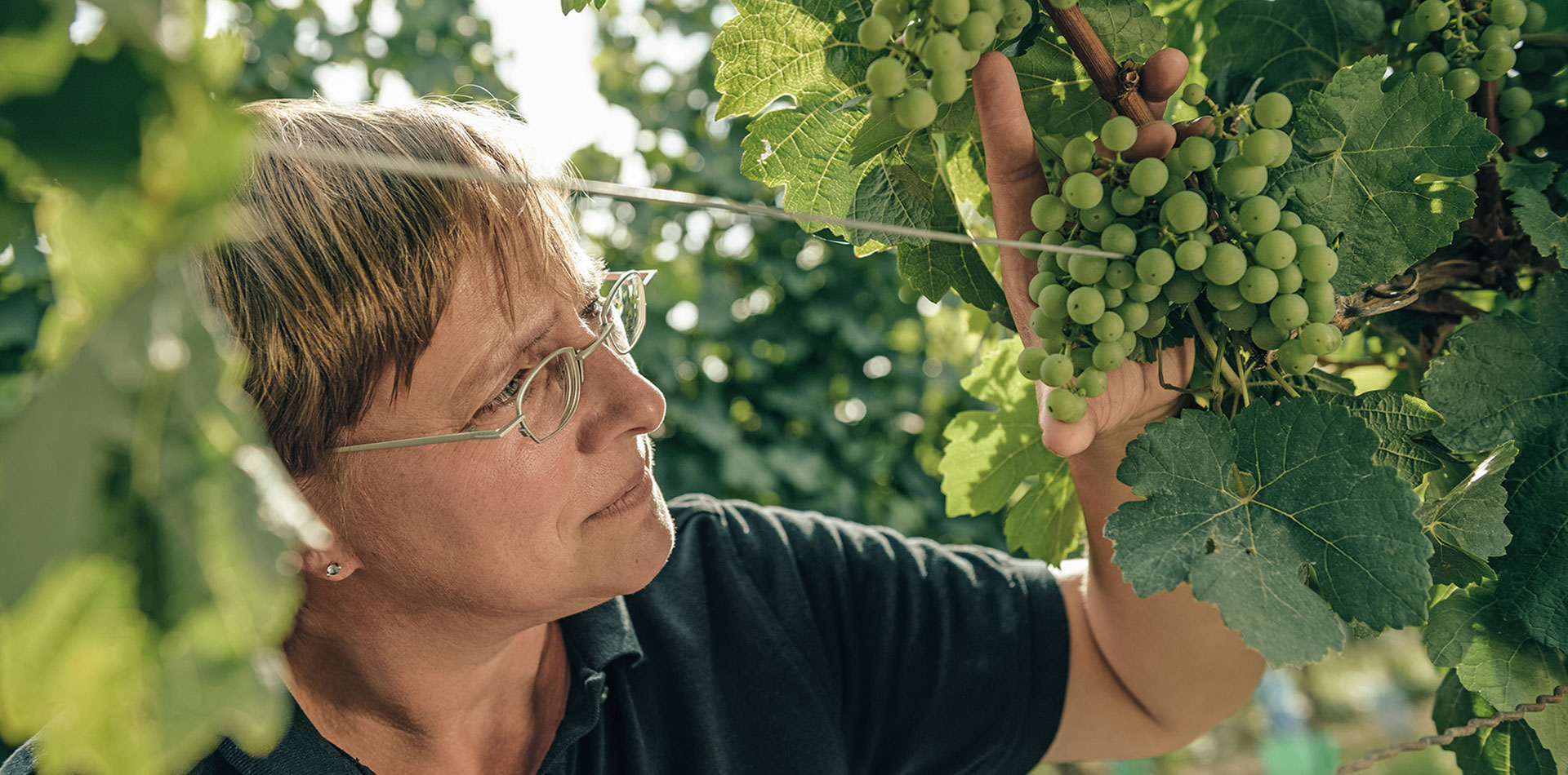 Weingut Heike Lingenfelder